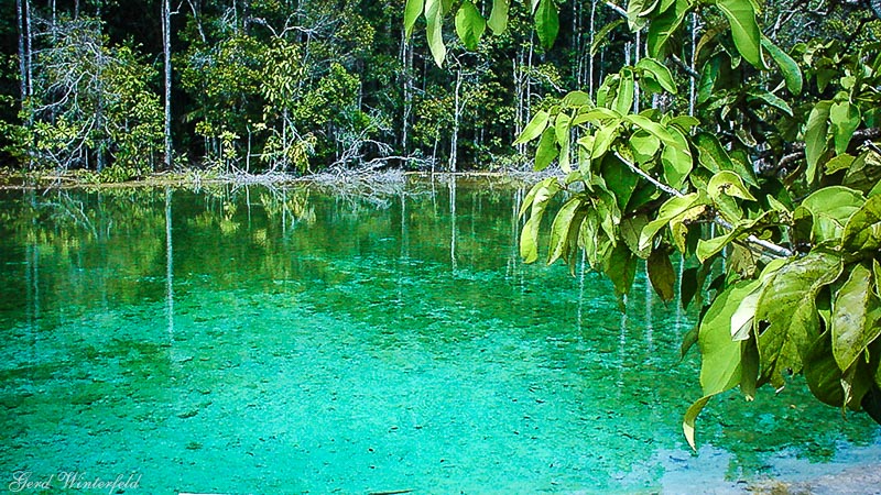 Emerald Pools | Krabi Thailand